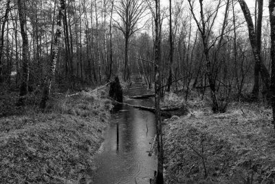 Der Bach