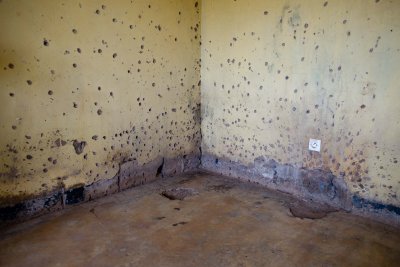 Ruanda & die Berggorillas