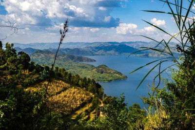 Ruanda & die Berggorillas