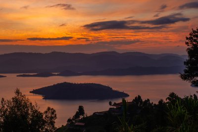 Ruanda & die Berggorillas