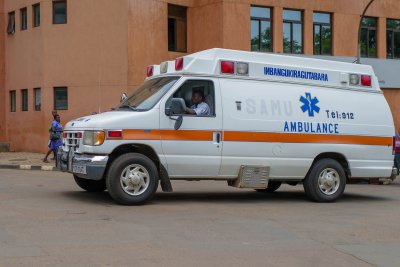 Ruanda & die Berggorillas