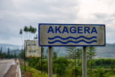 Ruanda & die Berggorillas