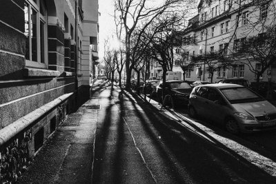 Foto des Tages