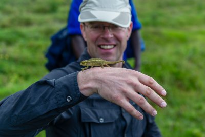 Ruanda & die Berggorillas