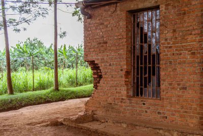 Ruanda & die Berggorillas