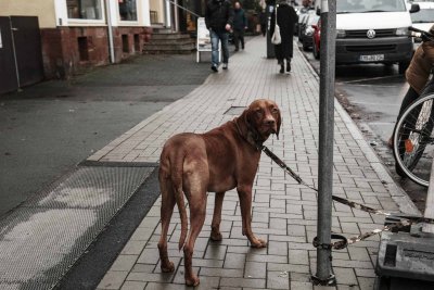 Straßenfotografie Fuji XT-5