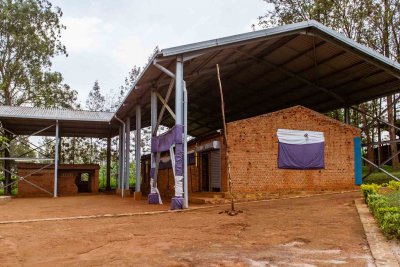 Ruanda & die Berggorillas