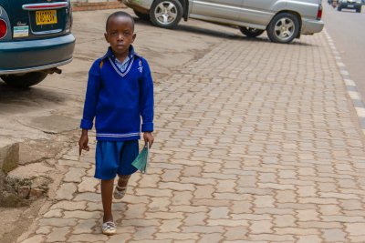 Ruanda & die Berggorillas