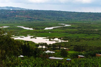 Ruanda & die Berggorillas