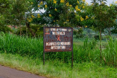 Ruanda & die Berggorillas