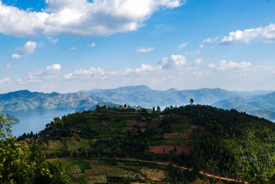 Ruanda & die Berggorillas