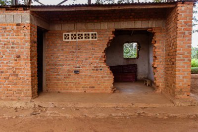 Ruanda & die Berggorillas