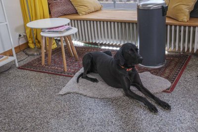 RGS Aufnahme mit Indra