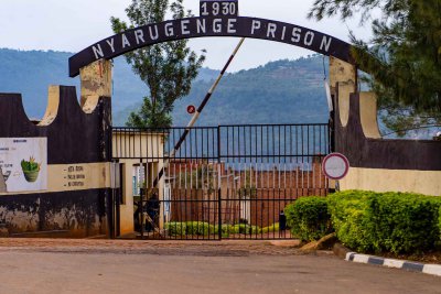 Ruanda & die Berggorillas