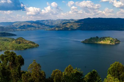 Ruanda & die Berggorillas