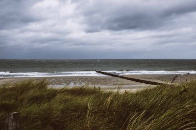 Met de Nederlanders II