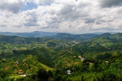 Ruanda & die Berggorillas