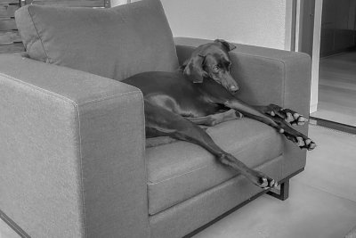 Relaxing